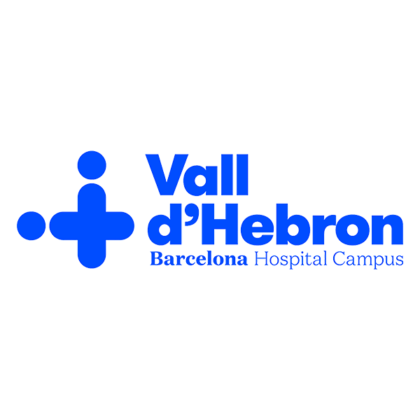 Logo png valldebron